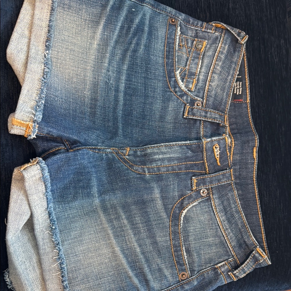 True Religion Women's Blue Jean Shorts